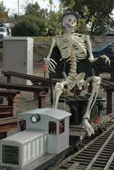 train with skeleton engeneer