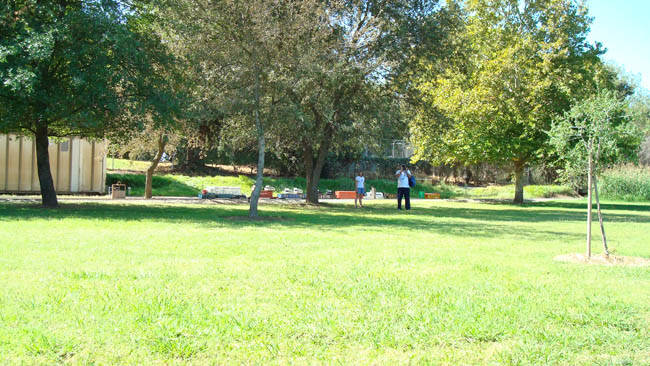 DSC01086